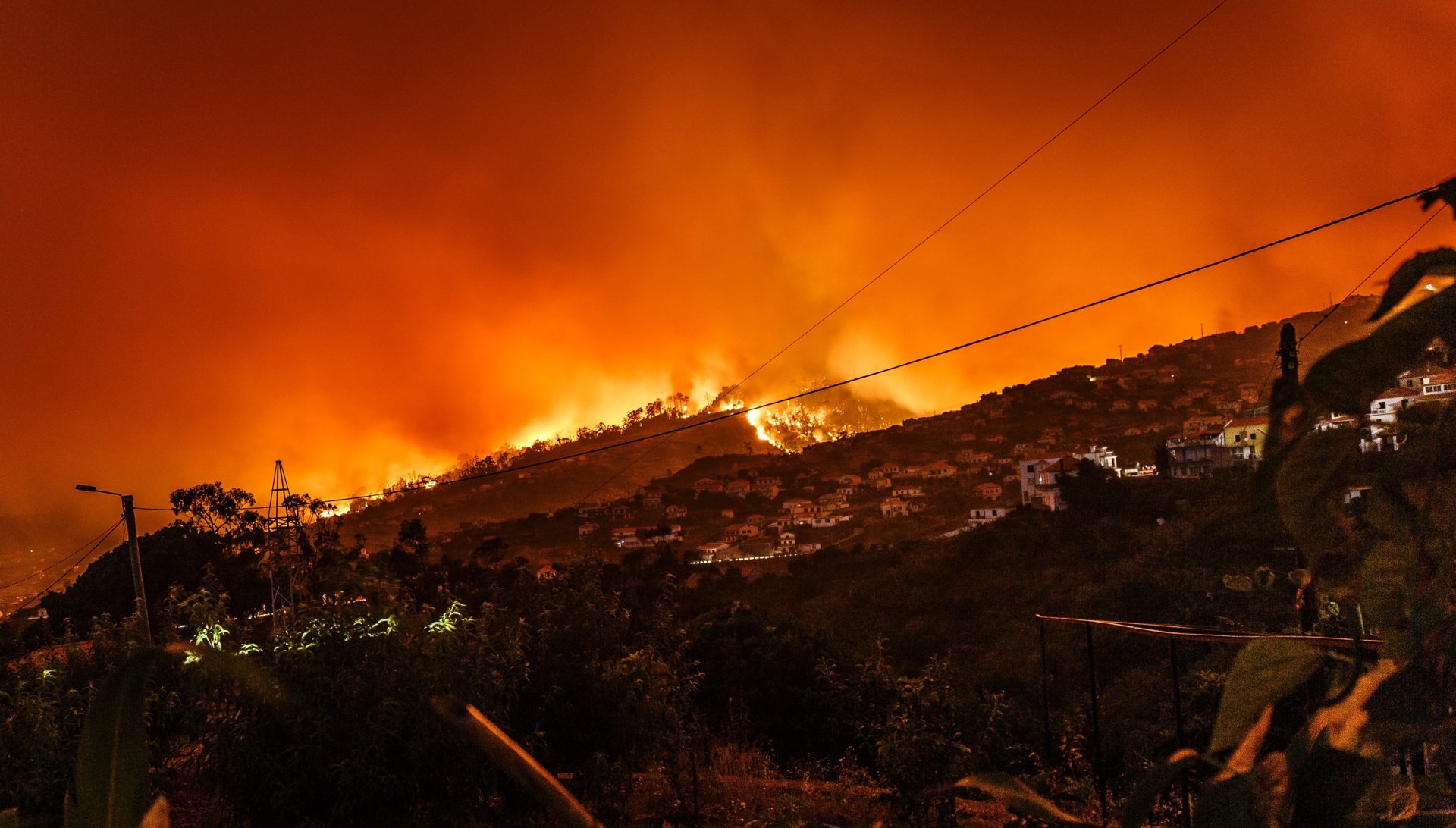 Wildfire and smoke across a forested landscape